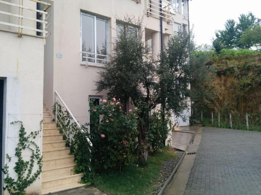 Exclusive Apartment تيرانا المظهر الخارجي الصورة