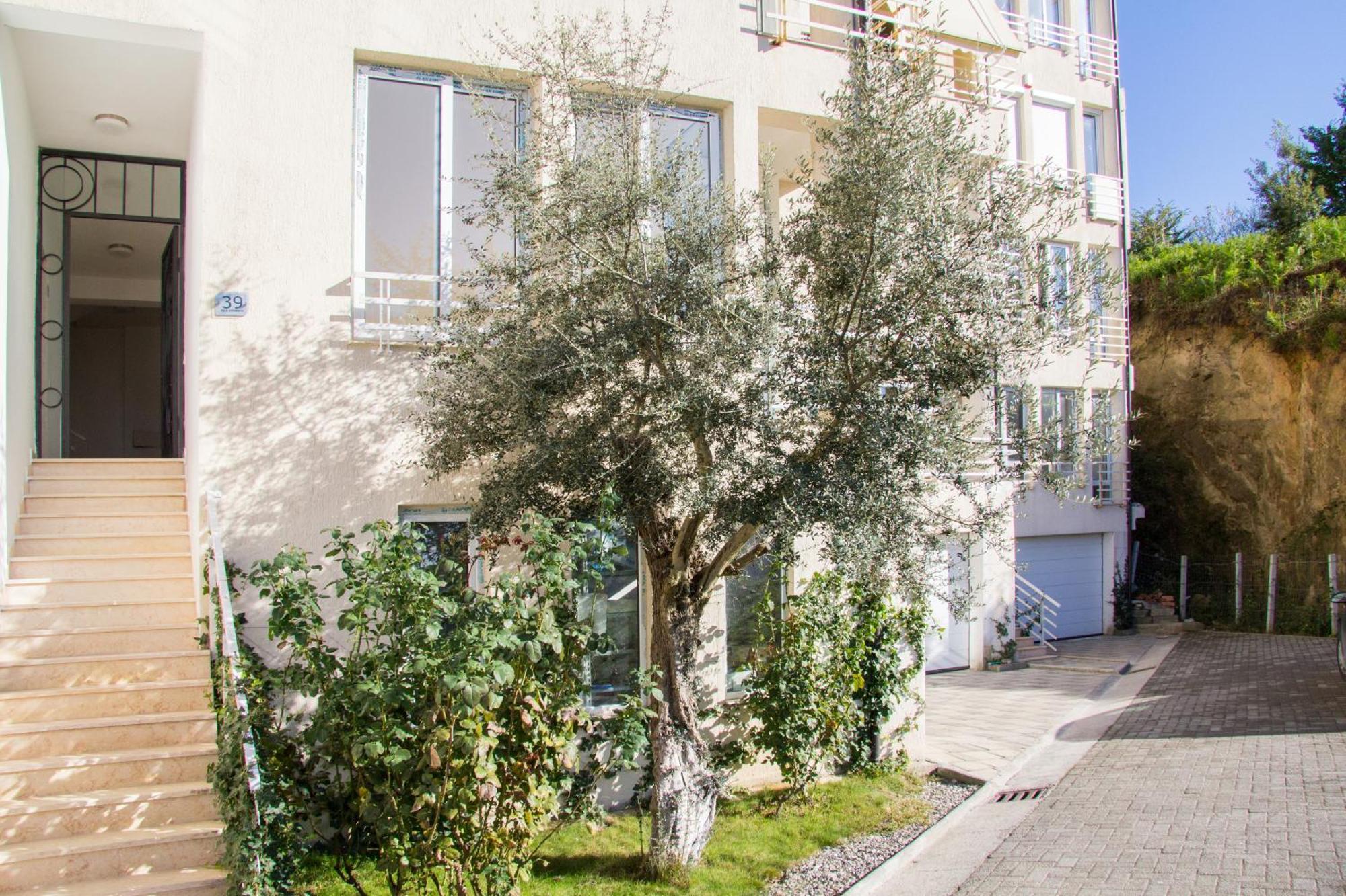 Exclusive Apartment تيرانا المظهر الخارجي الصورة
